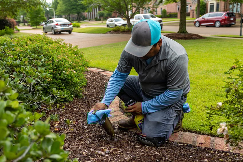 outdoor landscape lighting maintenance team 