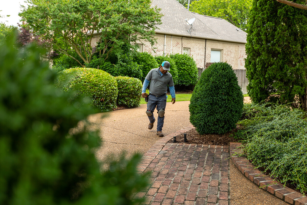 outdoor landscape lighting maintenance team 10