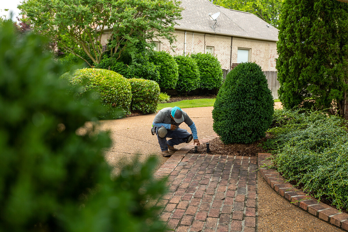 outdoor landscape lighting proper placement on property