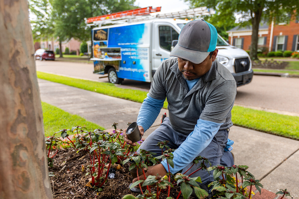 outdoor landscape lighting maintenance team 6