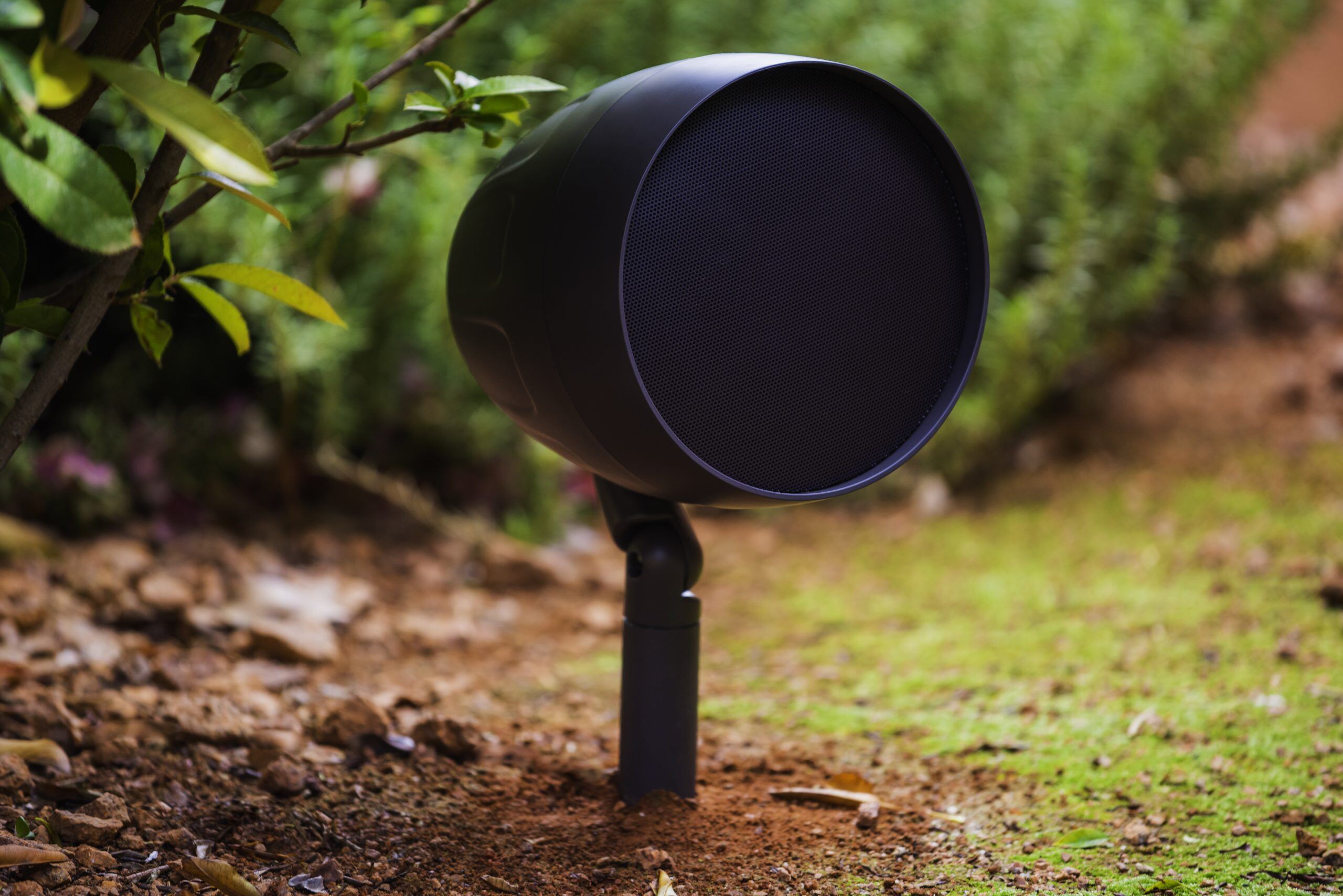 Outdoor audio speaker in landscape 3